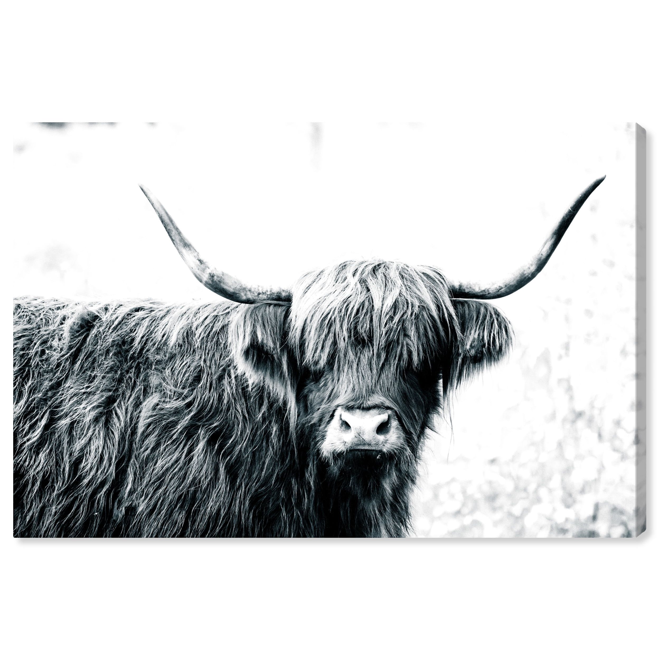 Highland Cow Black and White Canvas Wall Art 36x24