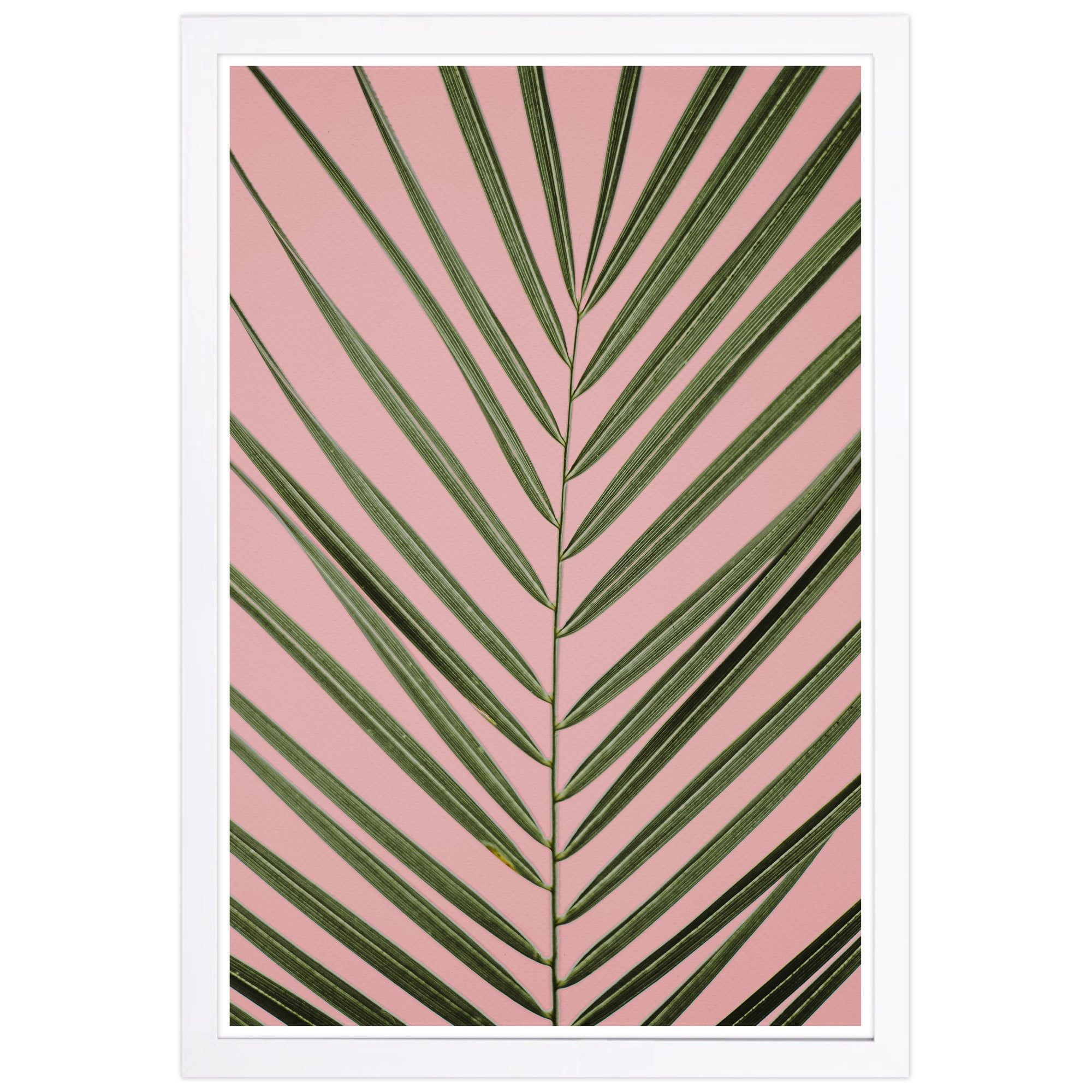 Green and Pink Botanical Palm Leaf Framed Wall Art Print