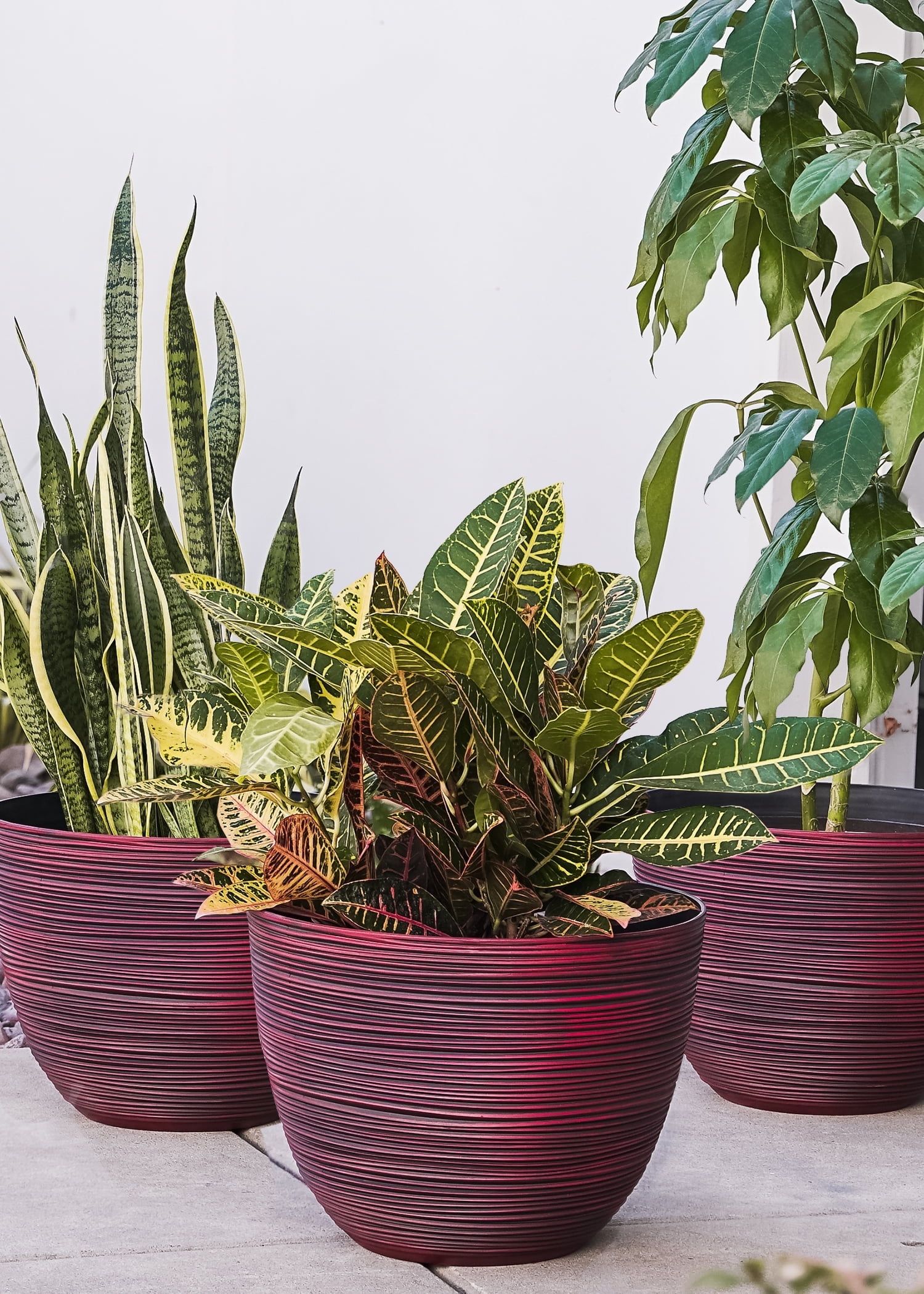 Set of 3 Red Textured Round Plastic Planters