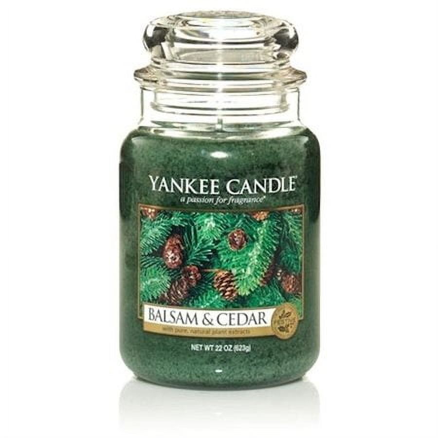 Balsam & Cedar Green Scented 22 oz Jar Candle