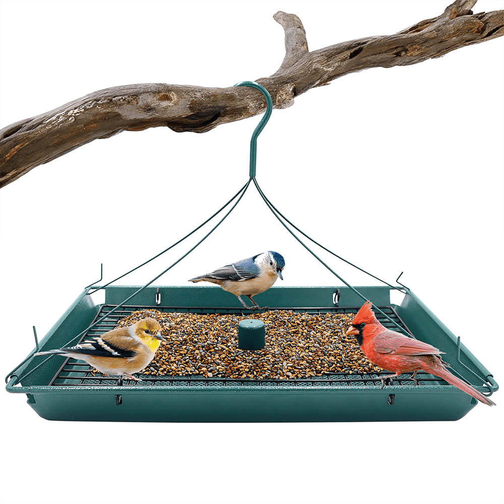 Green Metal Hanging Platform Bird Feeder with Removable Grid