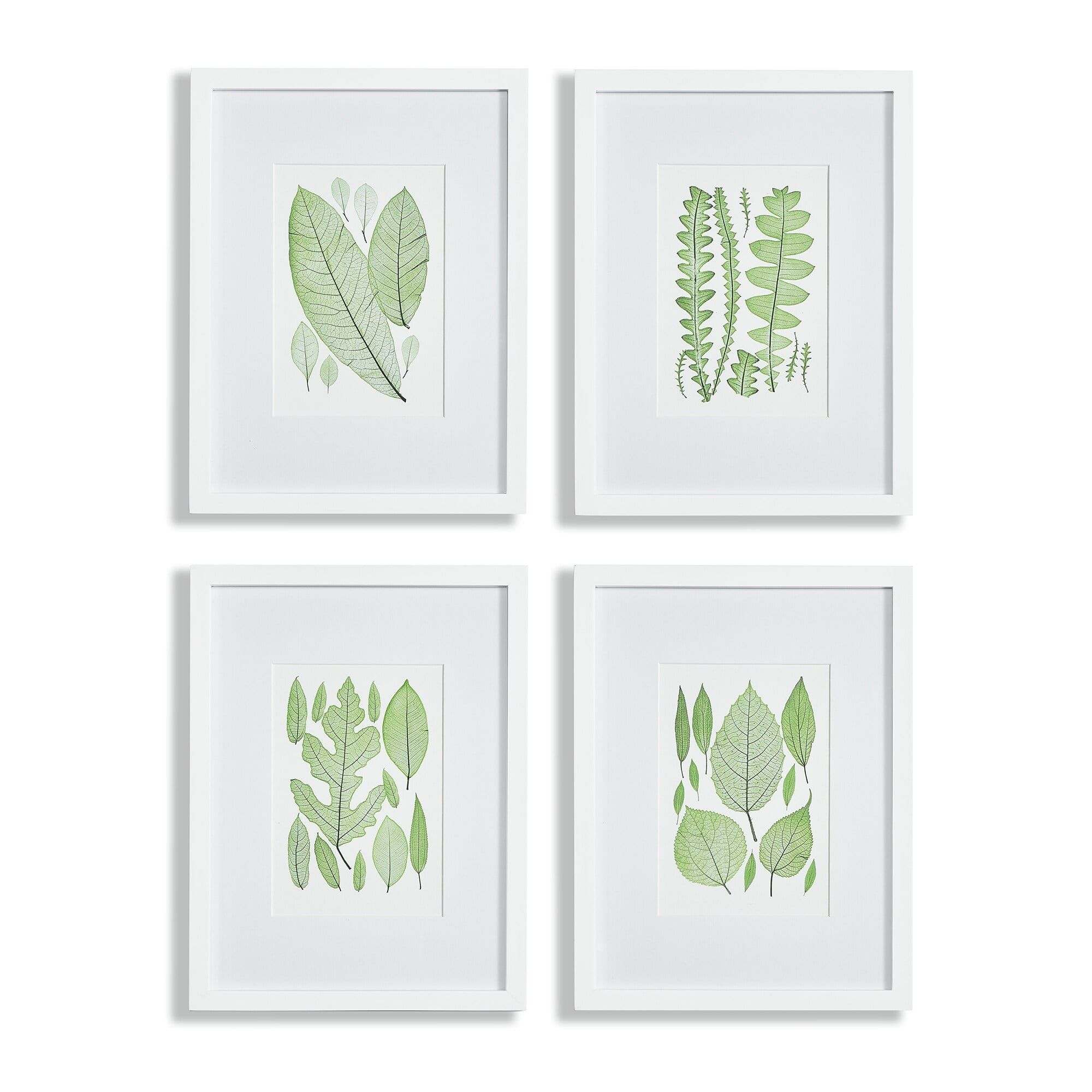 Green Botanical Leaf Prints with White Frames, Set of 4