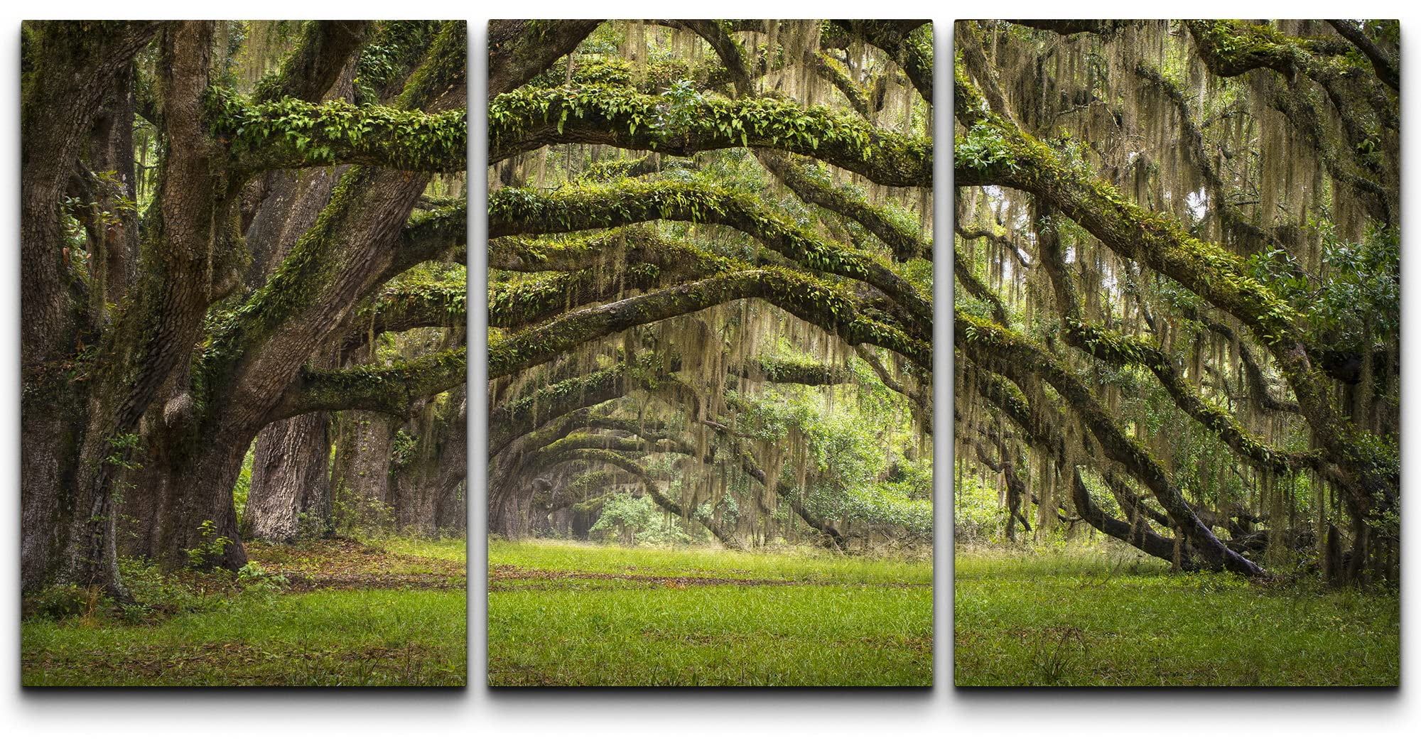 Charleston Plantation Oak Trees Landscape 3-Piece Canvas Wall Art