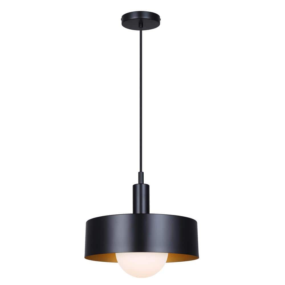 Matte Black Glass Drum Pendant Light with LED Bulb