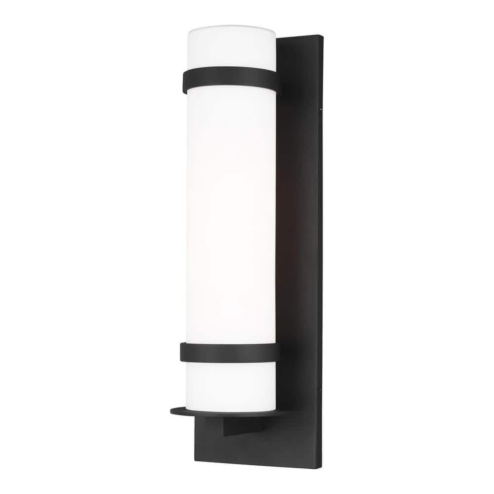 Alban 24" Black Bronze Dimmable Outdoor Wall Lantern with Etched Opal Glass