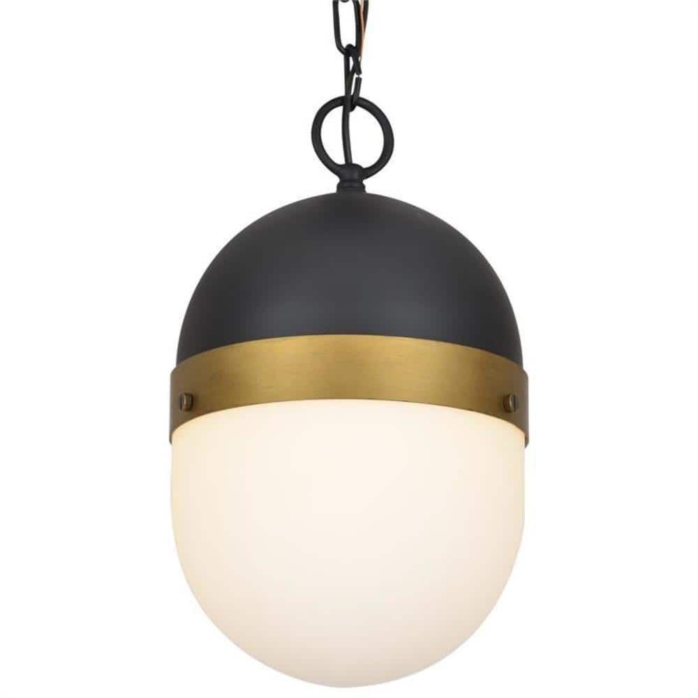 Matte Black and Gold Glass Globe Outdoor Pendant Light