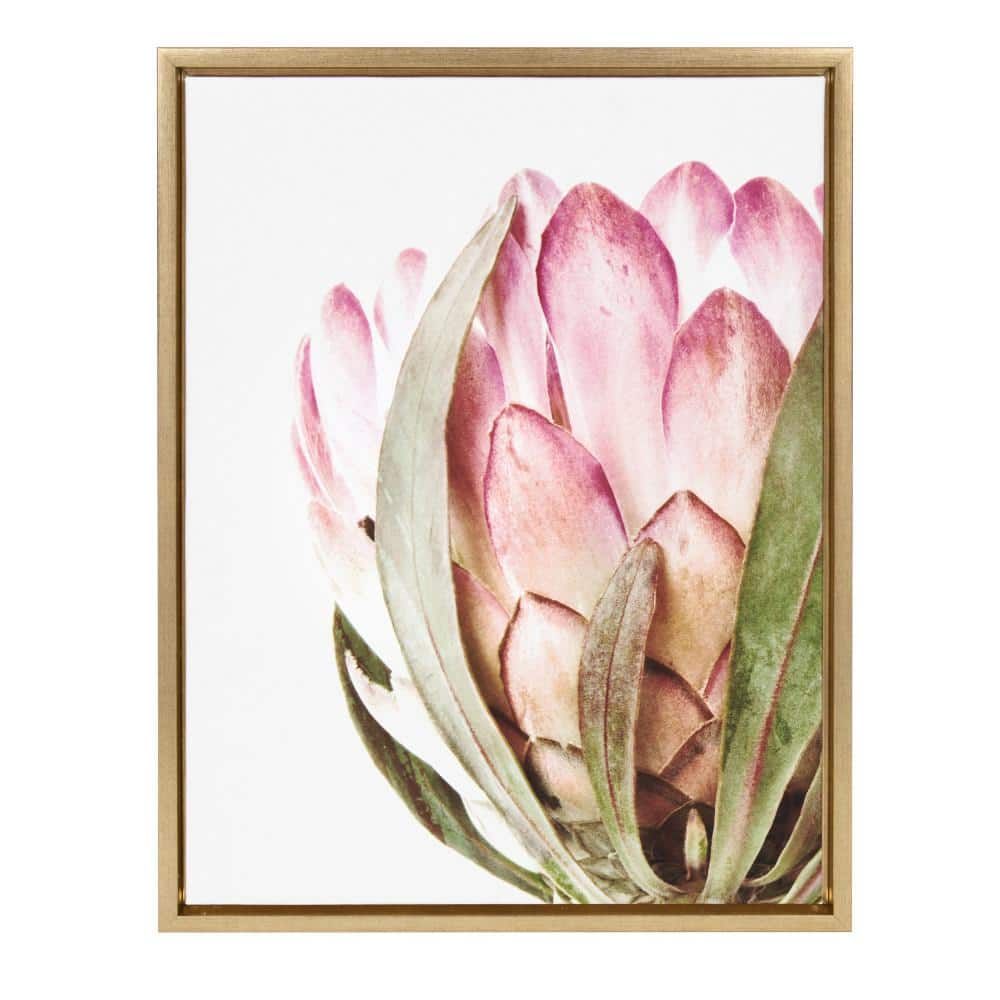 Pink Protea Flower 18x24 Framed Canvas Wall Art
