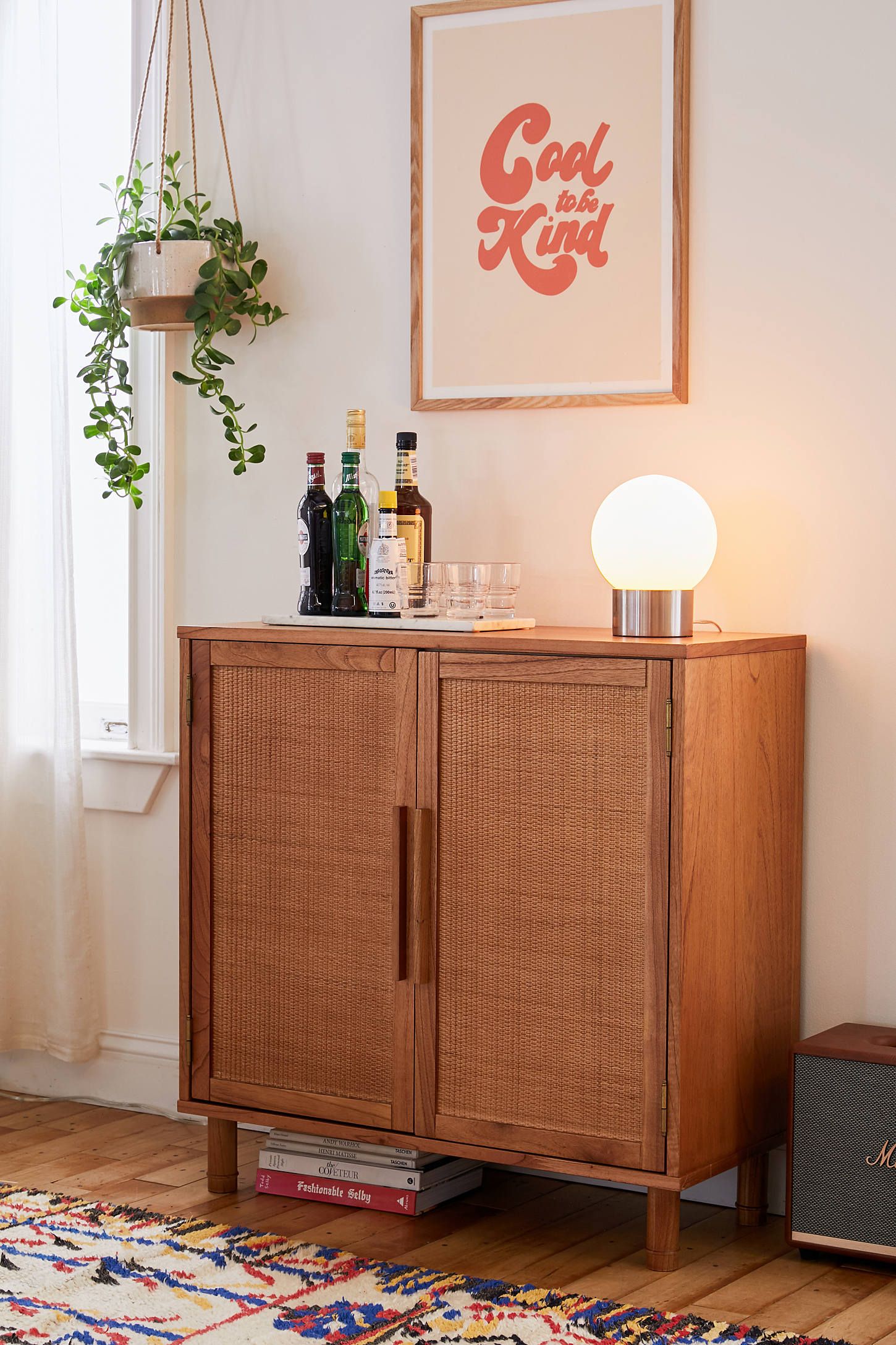 Delancey Boho-Modern Black/Brown Rattan 2-Door Storage Cabinet