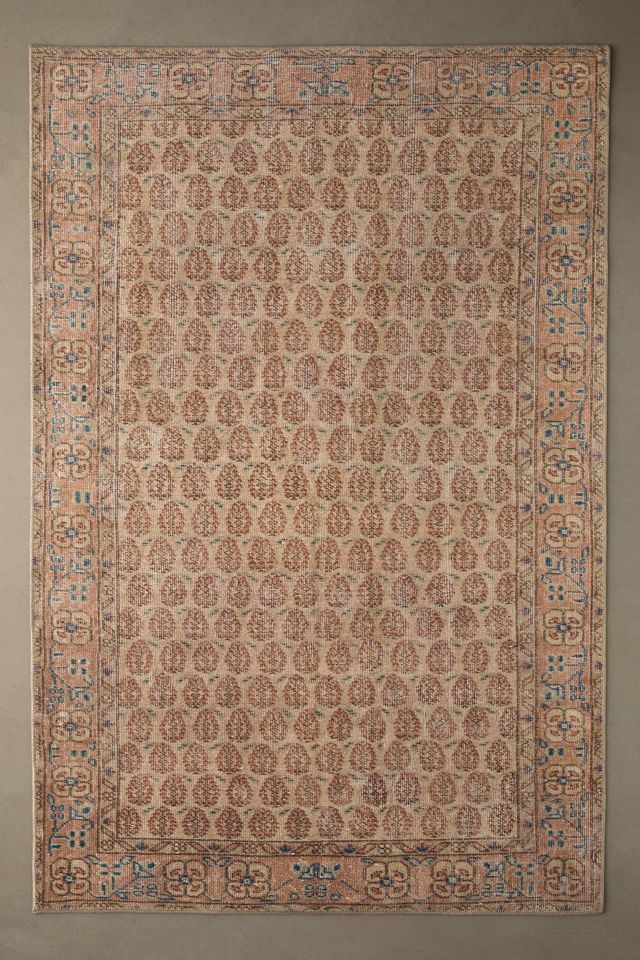 Dorset Blush Floral Rectangular 5' x 7'6" Synthetic Rug