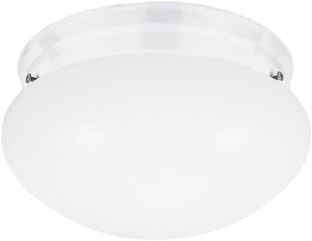 Webster White Smooth Glass LED Flush Mount Light