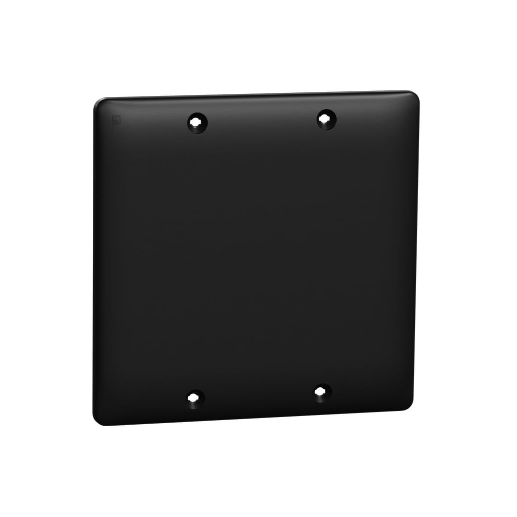 Matte Black 2-Gang Smooth Polycarbonate Wall Plate