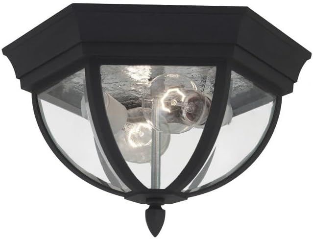 Wynfield Black and Clear Glass 2-Light Outdoor Flush Mount Ceiling Light