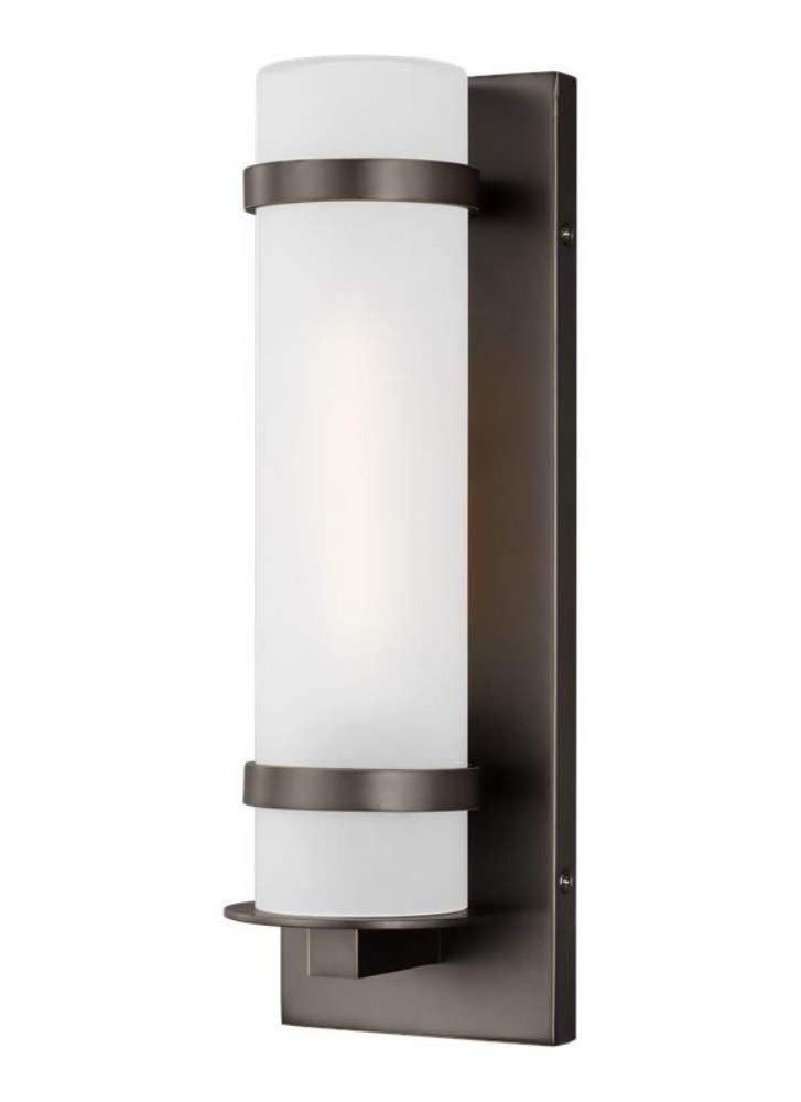 Alban Antique Bronze 1-Light Outdoor Sconce with Etched Opal Glass Shade