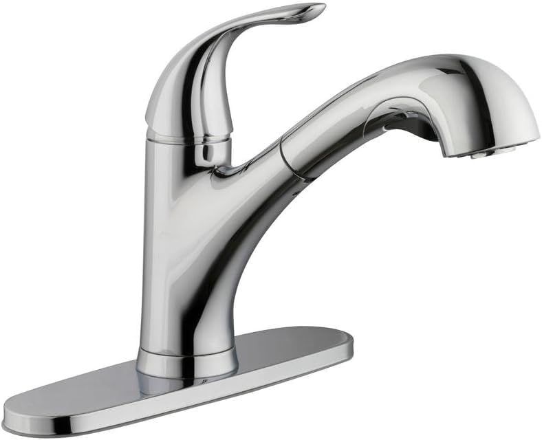 Stainless Steel Single-Handle Pull-Out Kitchen Faucet with TurboSpray