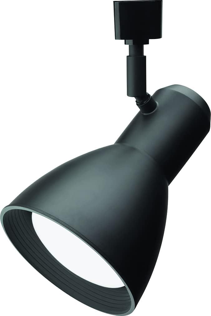 Matte Black Integrated Step Head Track Light