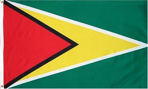 Guyana National Flag 3x5 Foot Polyester Outdoor Banner