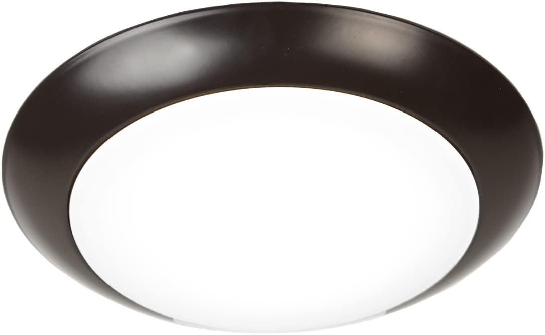 Bronze Glass LED Indoor/Outdoor Flush Mount Light