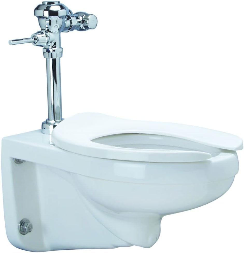 White Vitreous China Wall Mounted High Efficiency Toilet