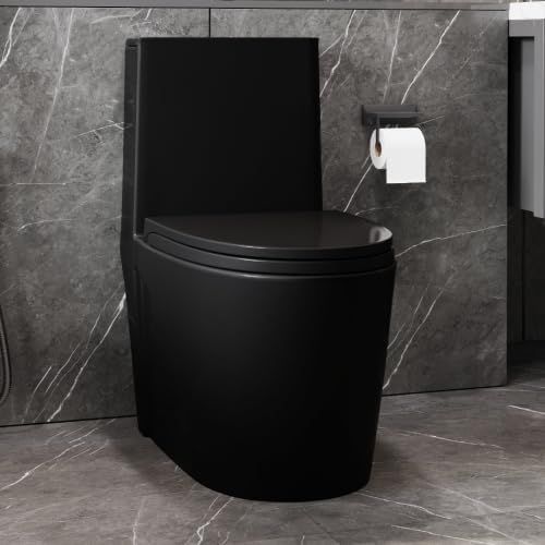 Matte Black High Efficiency Dual Flush One Piece Toilet