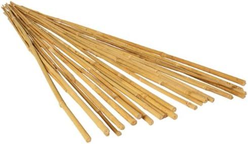 6' Natural Bamboo Garden Support Stakes, Pack of 25