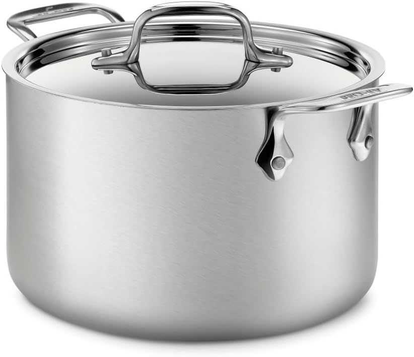 4-Quart Brushed Stainless Steel Soup Pot with Lid