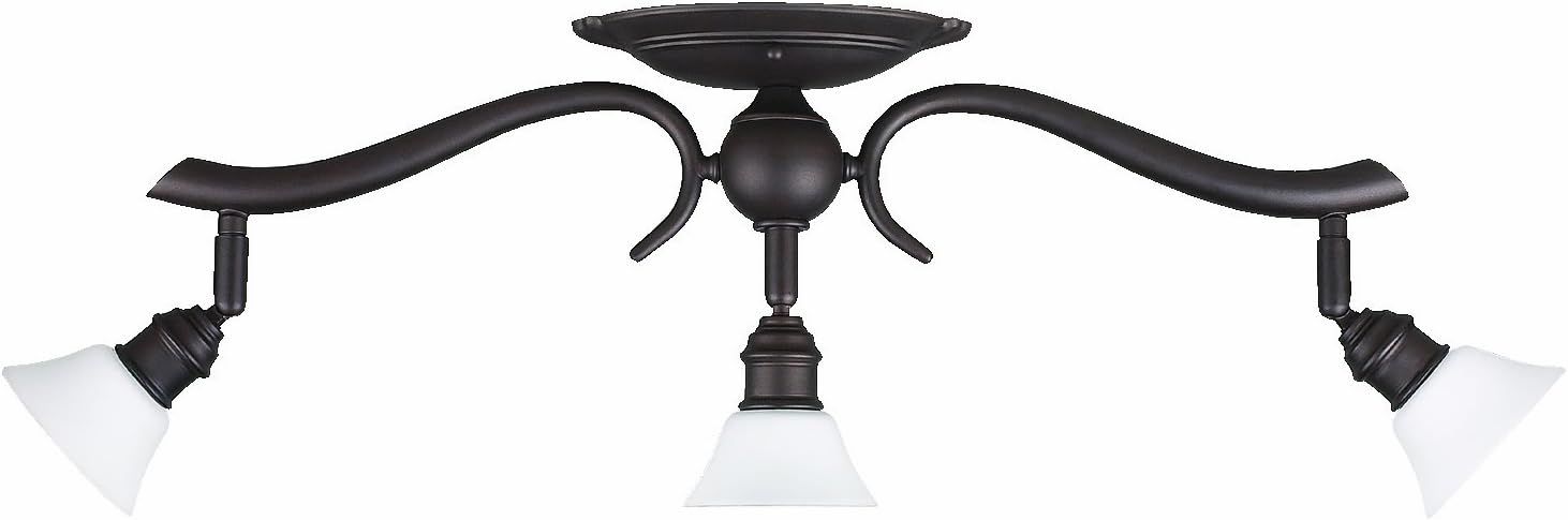 Addison 23.5'' Oil Rubbed Bronze Track Lighting with White Opal Glass