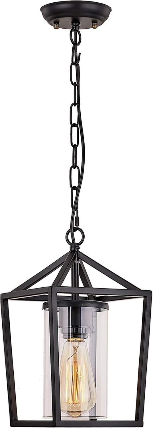 Black Metal and Glass Vintage Cage Outdoor Pendant Light