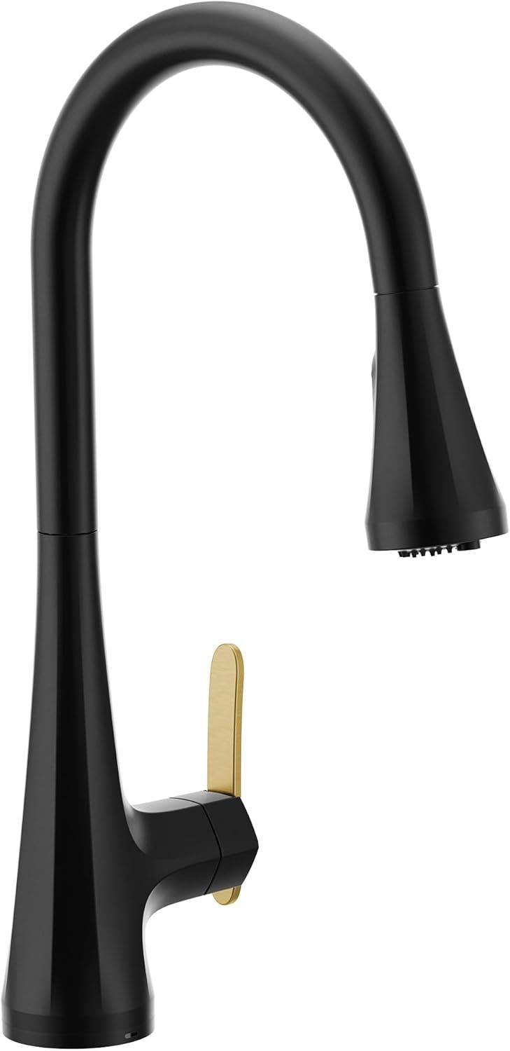 Matte Black Pull-Down Kitchen Faucet with Gold Handle