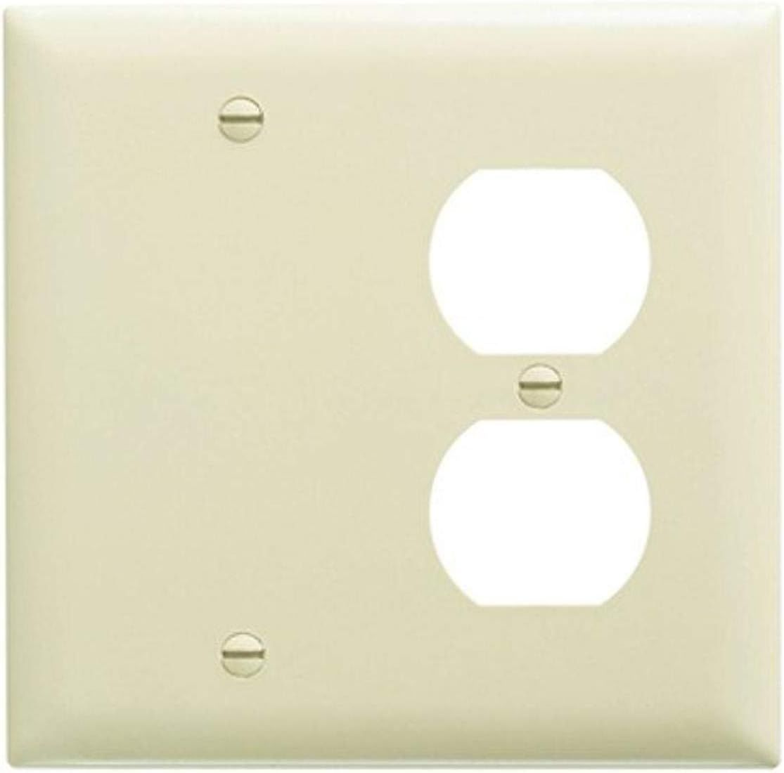 Ivory 2-Gang Matte Nylon Wall Plate with Blank and Duplex Cutouts