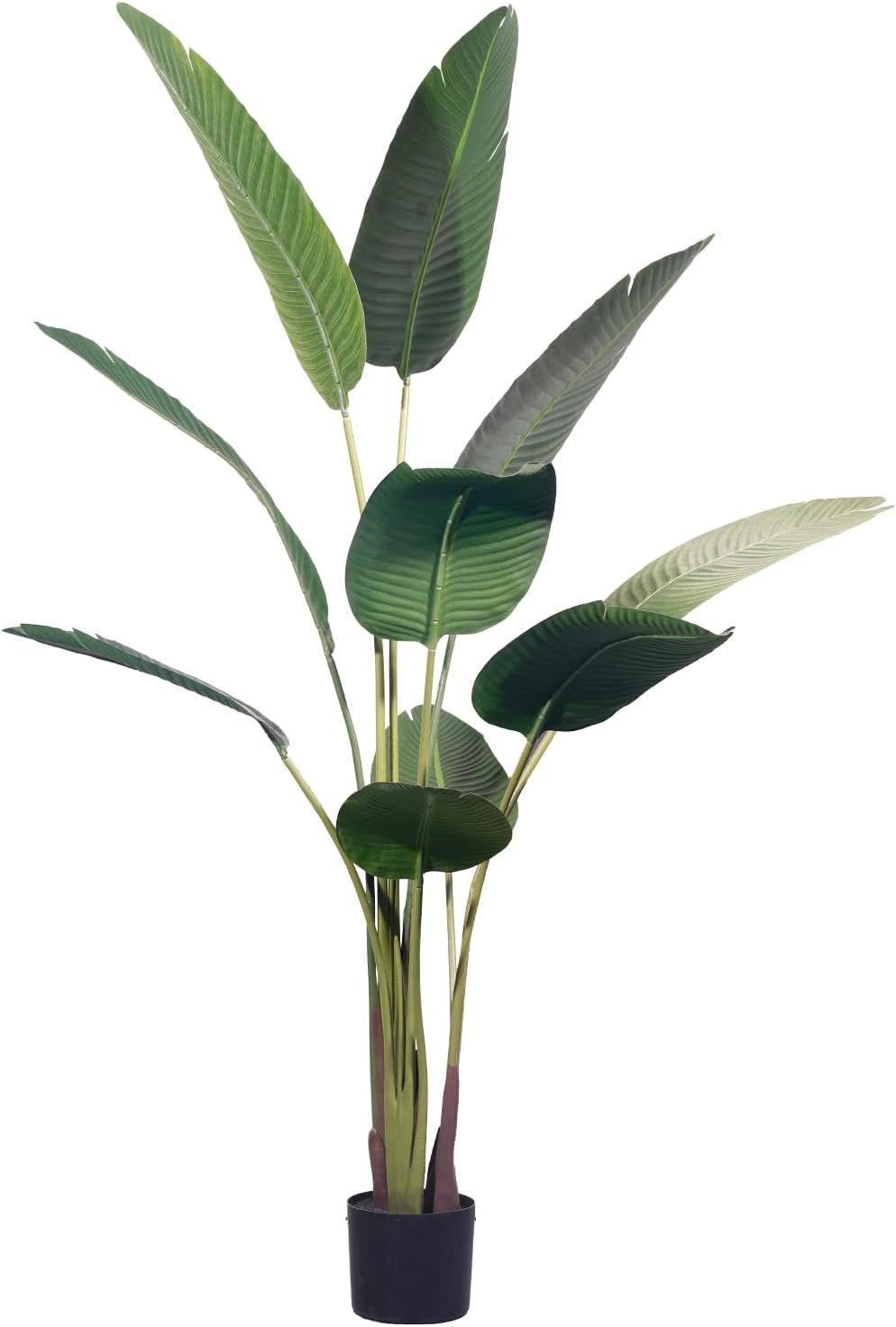 5ft Green Artificial Bird of Paradise Plant in Black Plastic Pot