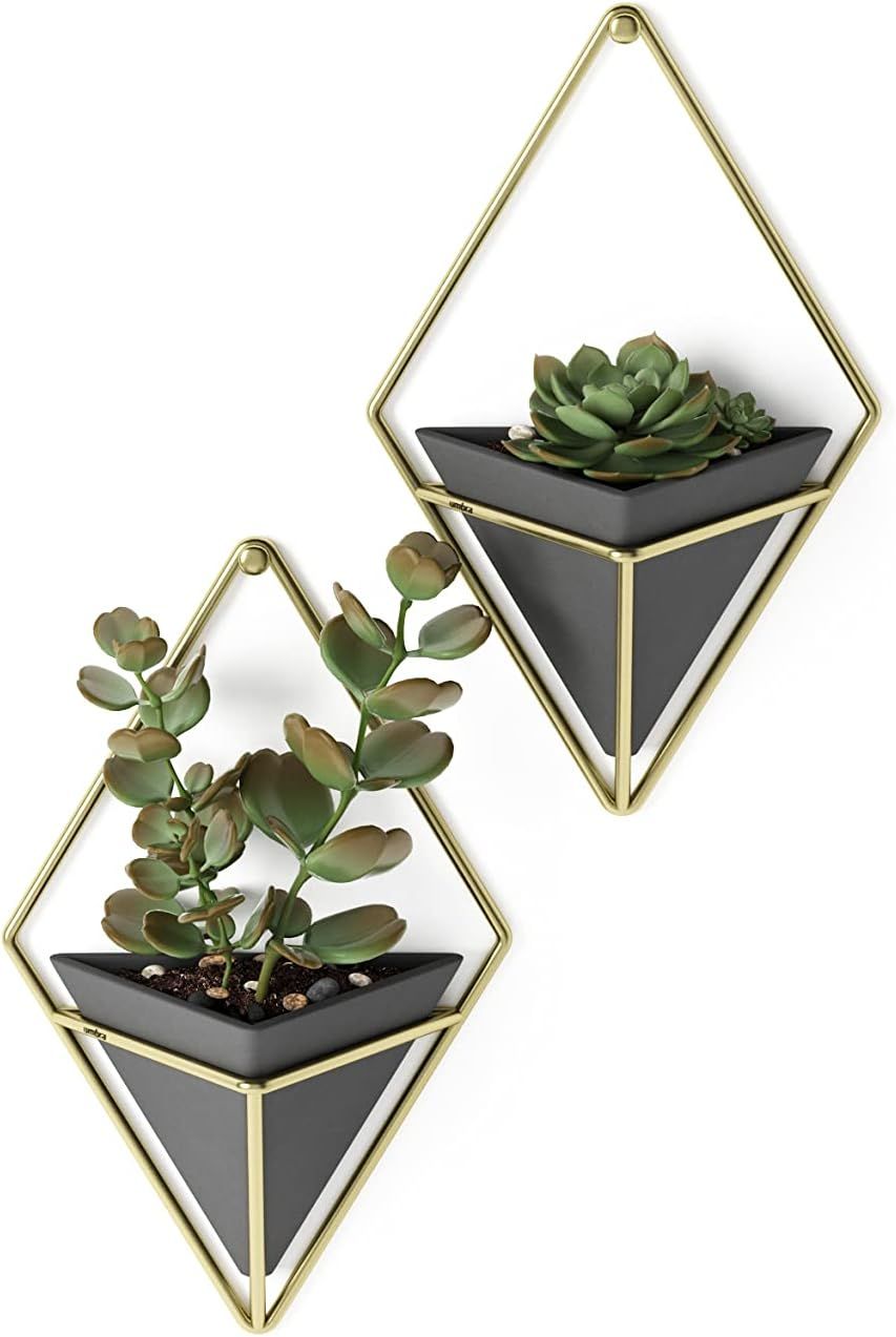 Small Black and Brass Geometric Hanging Planter Set