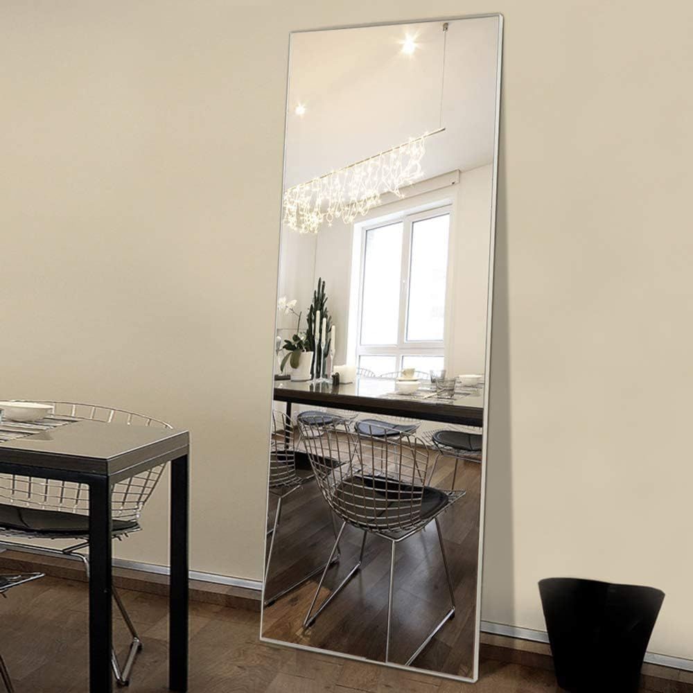 Silver Full Length Rectangular Aluminum Alloy Mirror, 65"x22"