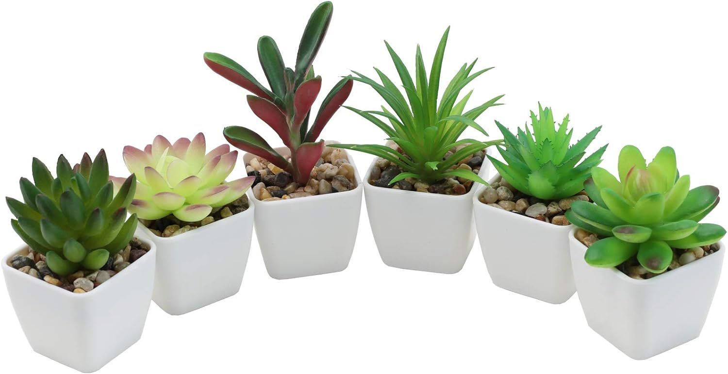 Mini Assorted Green and Red Plastic Succulent Plants in White Pots, Set of 6