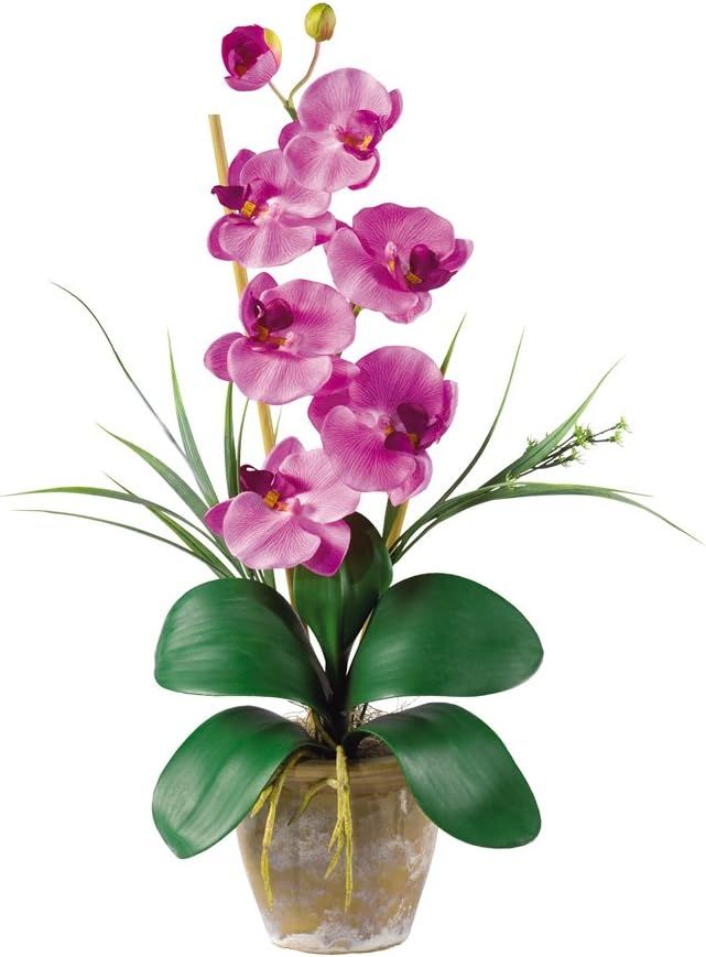 Mauve Silk Phalaenopsis Orchid with Bamboo in 21" Pot