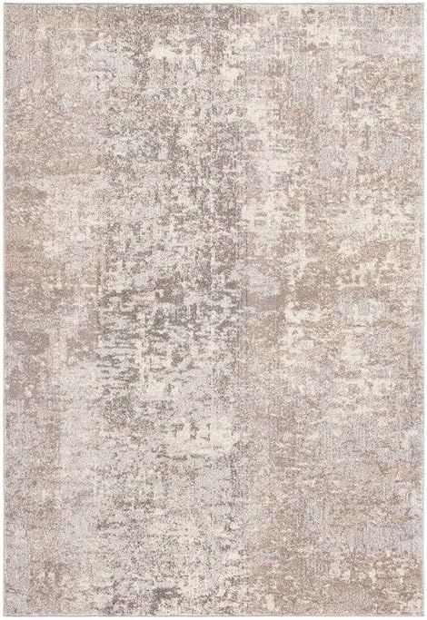 Gray and Beige Rectangular Flat Woven Area Rug