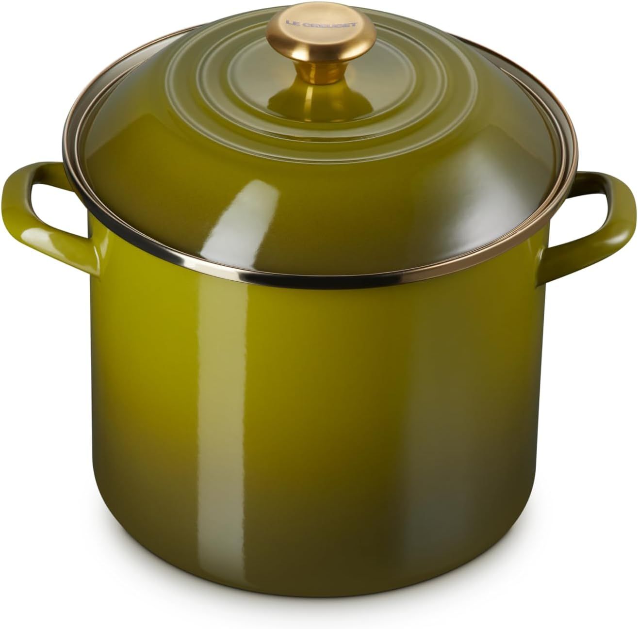 Olive Green Enamel Steel 10 Quart Stockpot