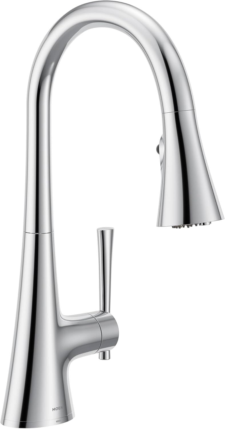 Chrome Pull-Down Kitchen Faucet with Water Filtration