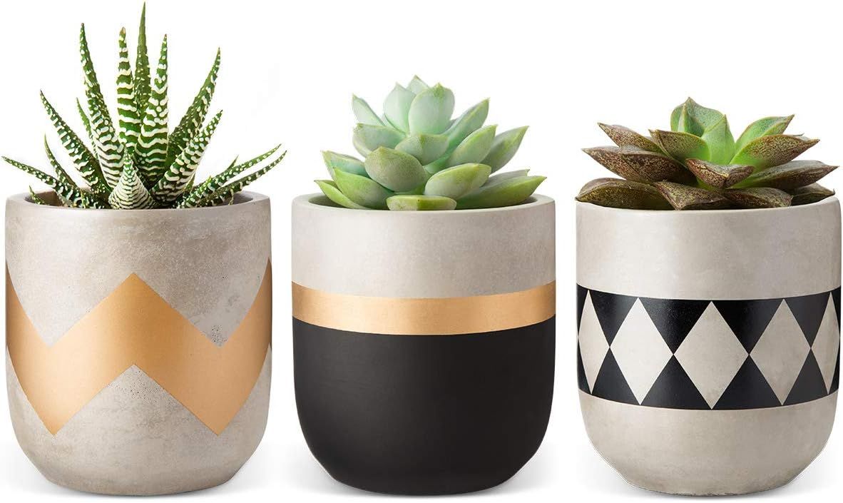 Set of 3 Modern 4-Inch Cement Succulent Planter Pots