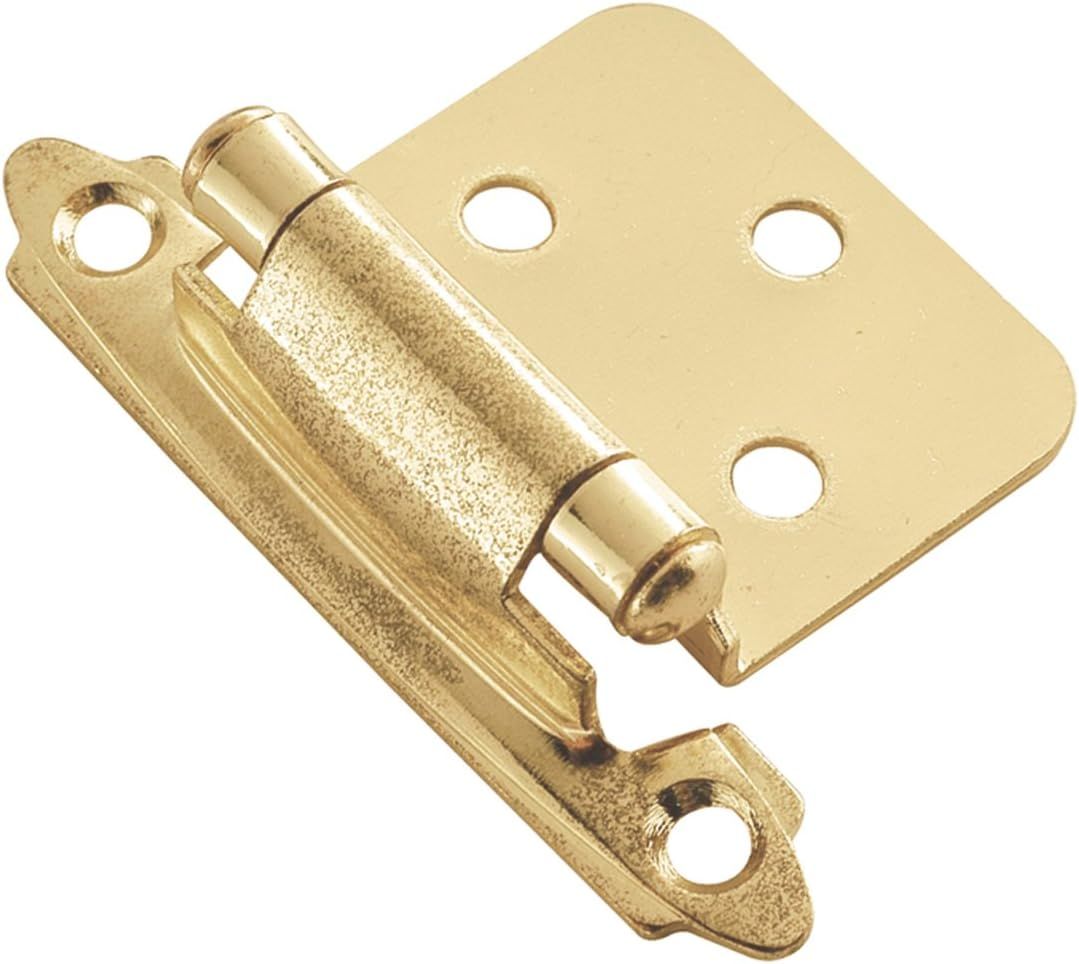 Polished Brass Self-Closing Flush Cabinet Hinges