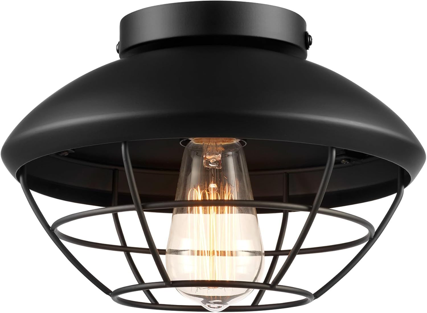 Matte Black Metal Cage Flush Mount Outdoor Ceiling Light