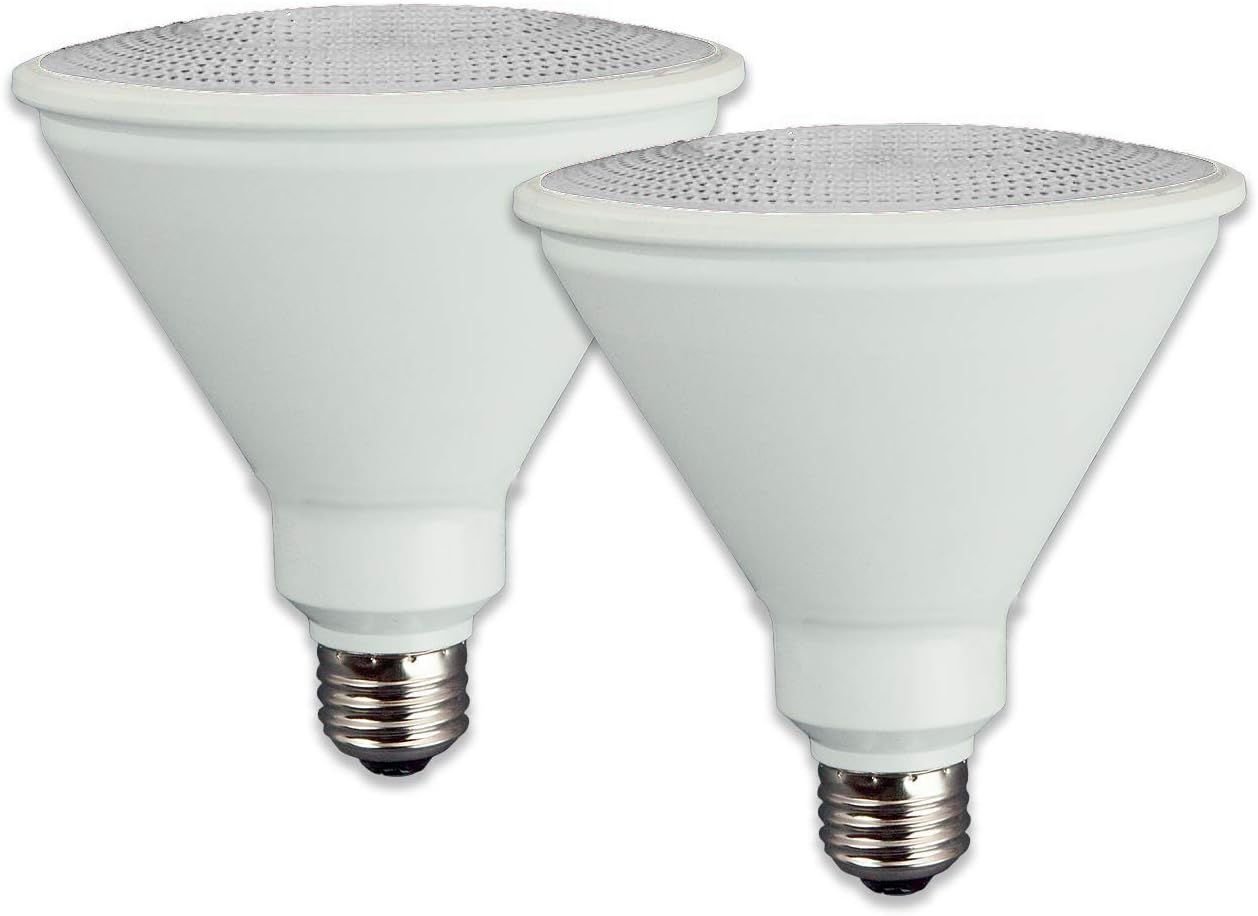 Cool White Dimmable LED PAR38 Flood Light Bulbs, 2 Pack