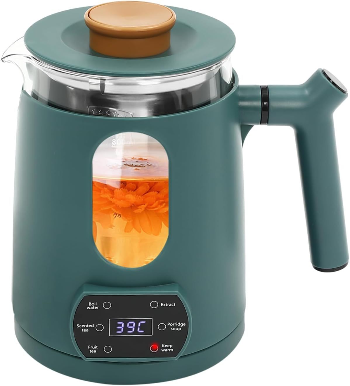 Green Stainless Steel and Glass Electric Tea Kettle with Temperature Control