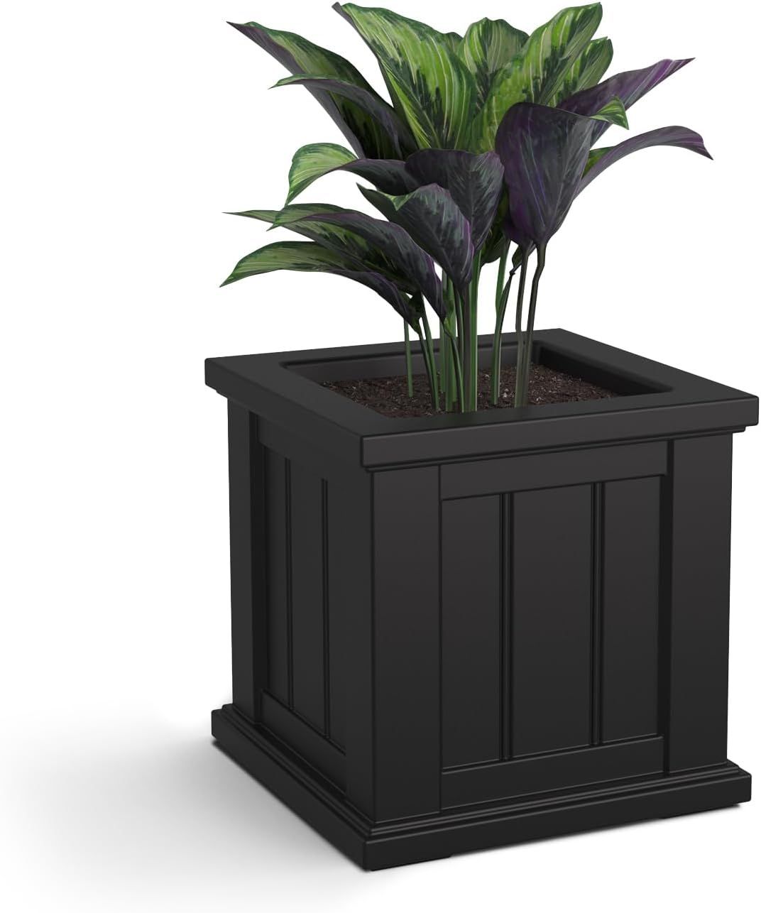 Cape Cod Black Polyethylene Self-Watering Outdoor Planter