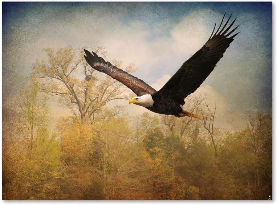 Monarch of the Skies Bald Eagle Canvas Art 32x24