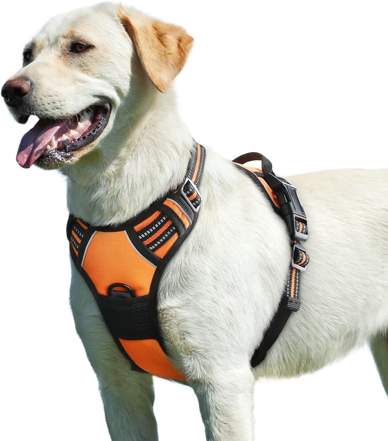 Large Orange Reflective Dog Harness with Metal Rings