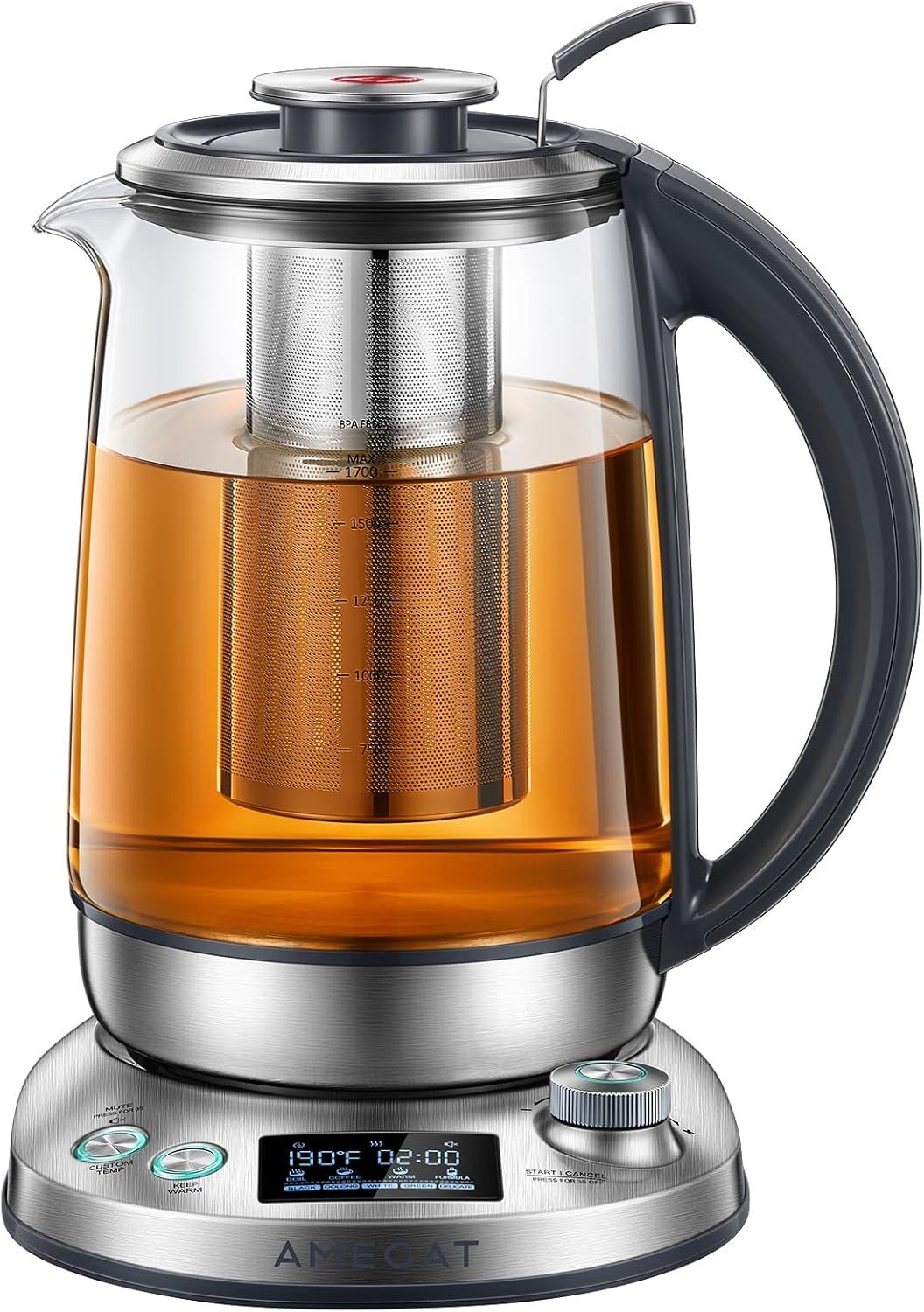 Stainless Steel Borosilicate Glass Electric Tea Kettle with Infuser