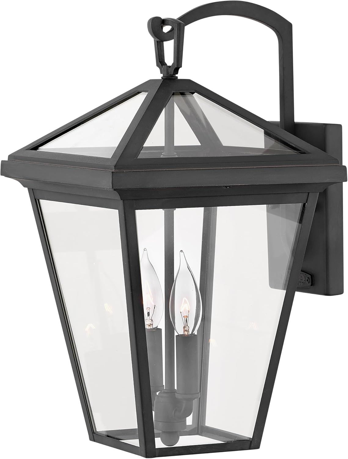 Museum Black 2-Light LED Outdoor Wall Lantern with Clear Glass