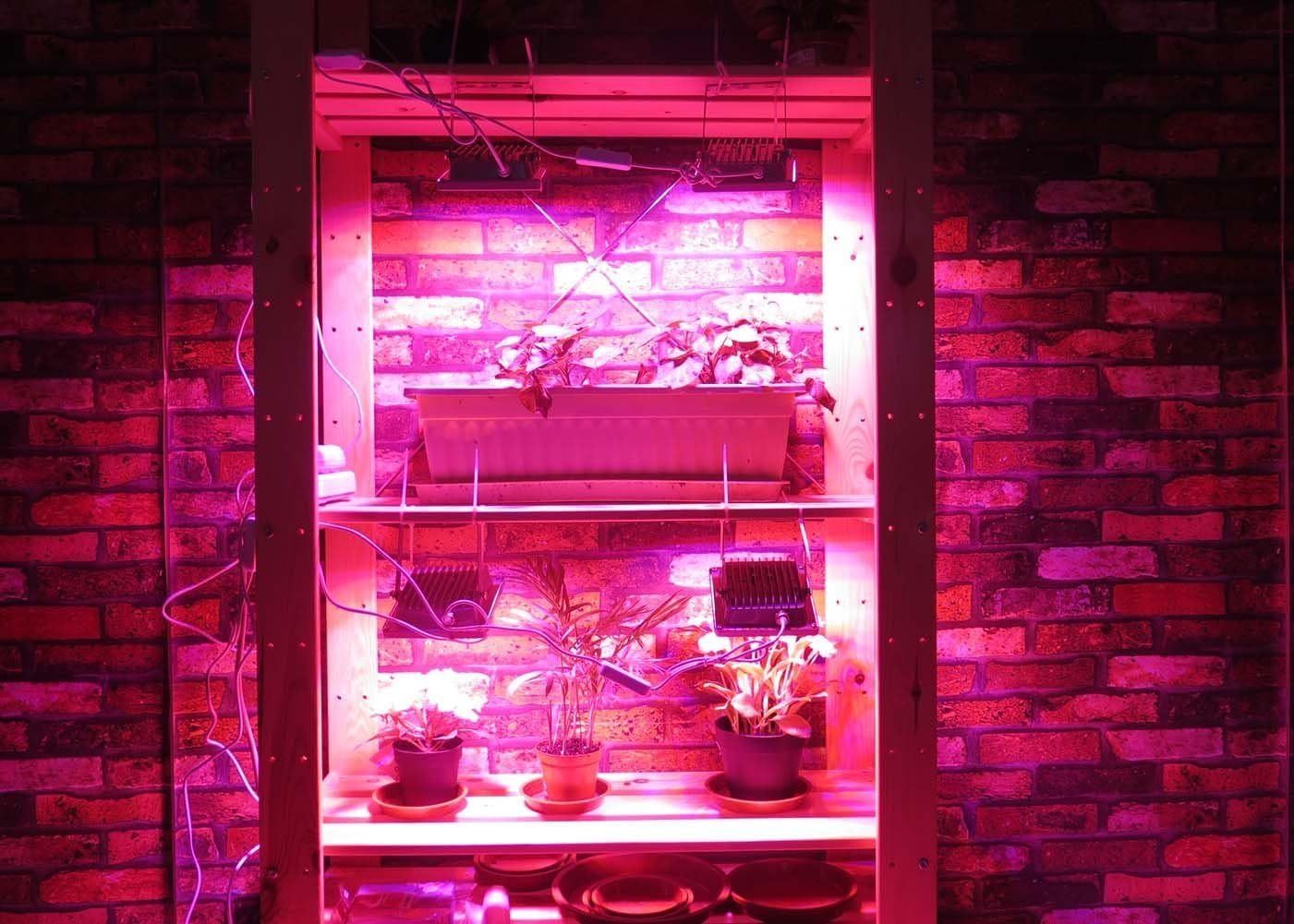 12W Full Spectrum LED Grow Light for Indoor Plants