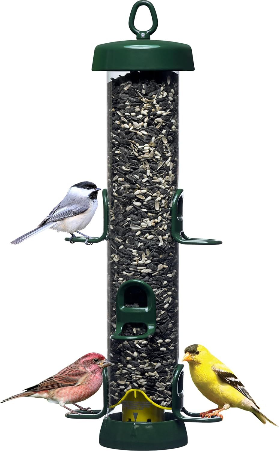 Green Metal and Plastic Squirrel Resistant Tube Bird Feeder