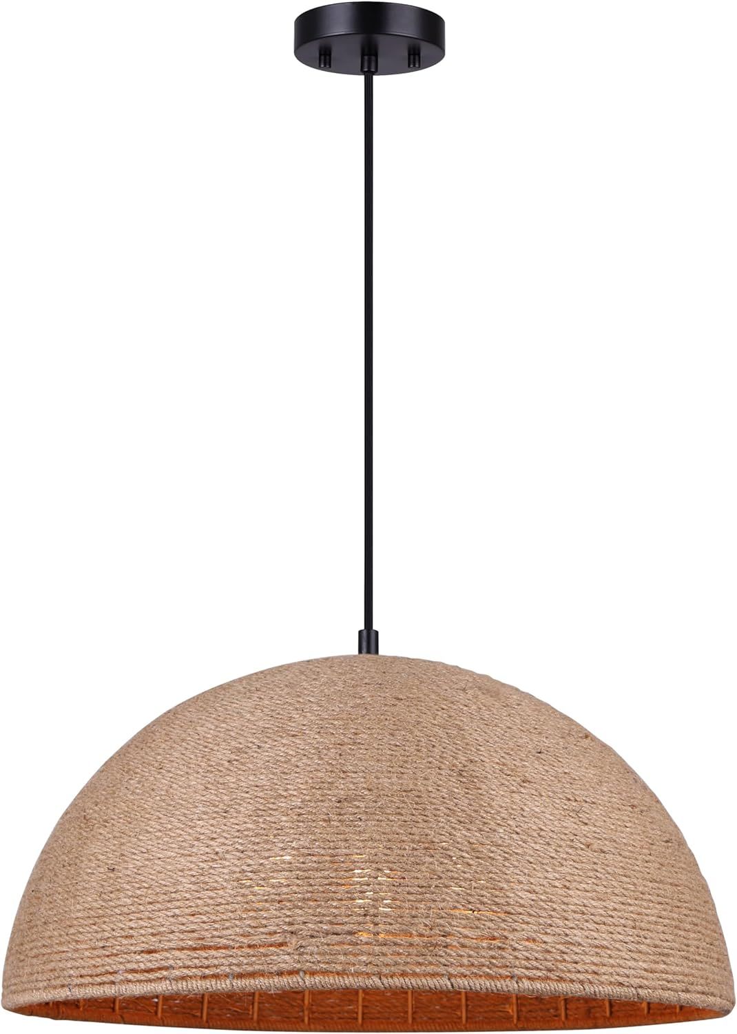 Matte Black and Rope 20" Indoor/Outdoor Pendant Light